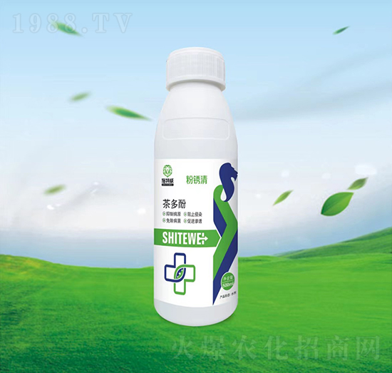 茶多酚-粉銹清-施特威