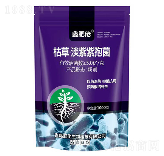 �ݲݡ��������߾�-�η���-��������