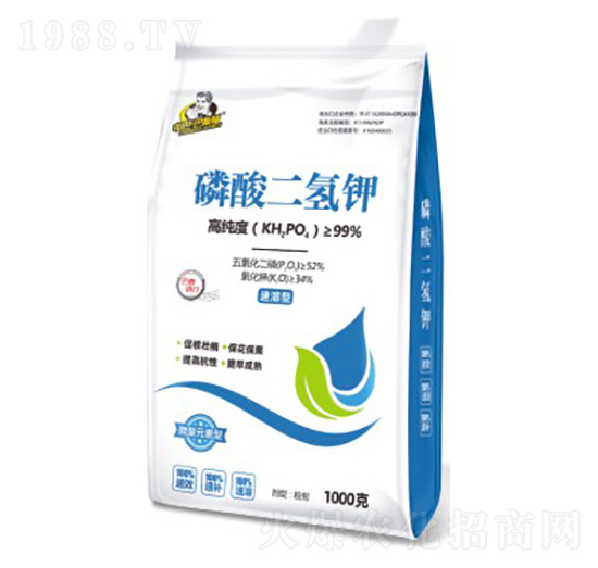 ��������-��˹��