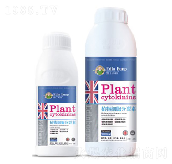 ֲ�：(x��)��������-��(��i)������