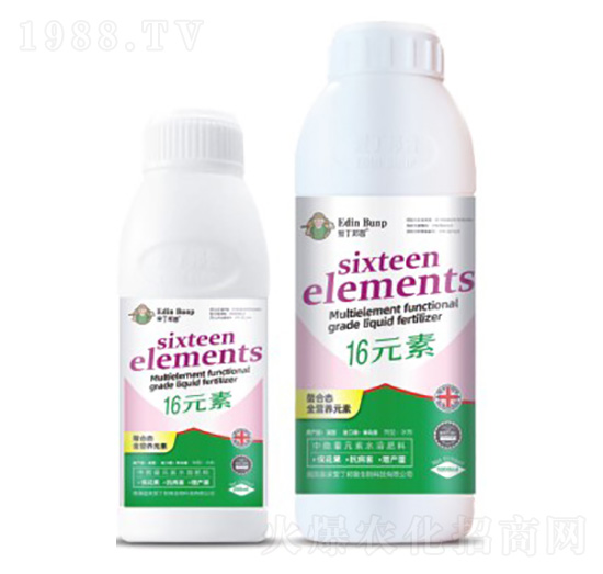 16Ԫ��-�۶�����