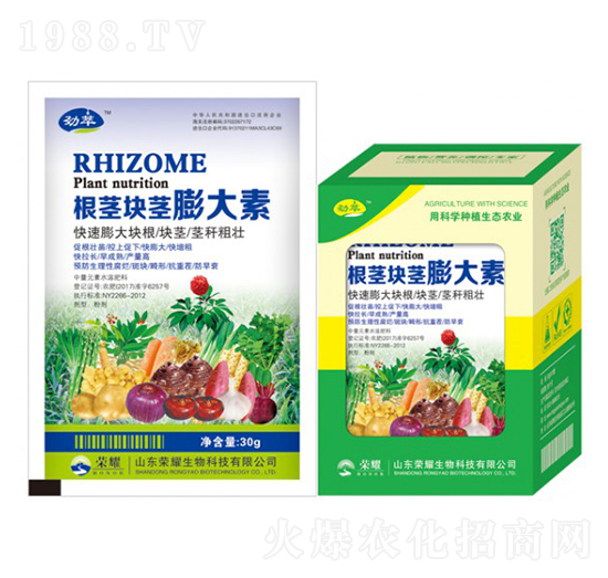 根莖塊莖膨大素-勁萃-榮耀農(nóng)業(yè)