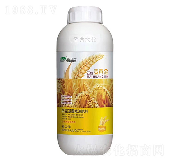 ���_(t��i)���S��-���_(t��i)��