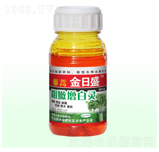 藜蒿粗嫩增白靈-金日盛-富源祥肥業(yè)