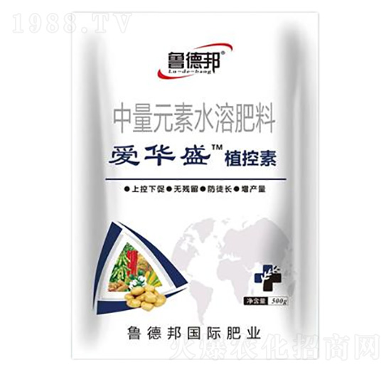 中量元素水溶肥料-愛華盛·植控素-魯?shù)掳? style=