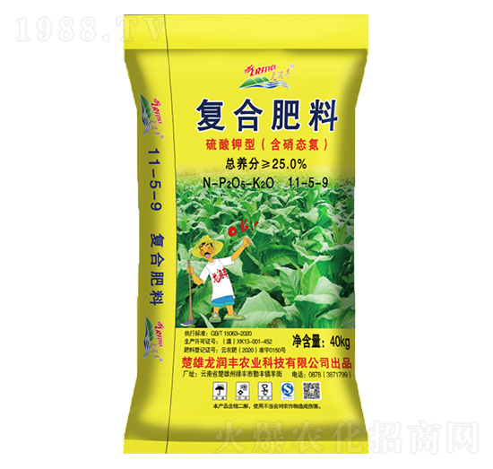 ������͏�(f��)�Ϸ�11-5-9-����(r��n)�S