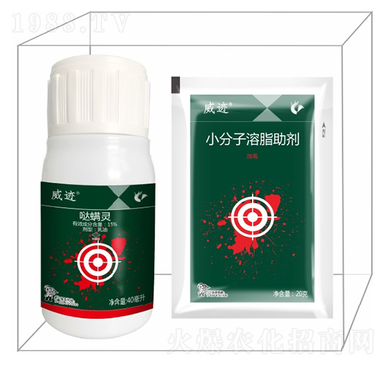 ���E�M�ϣ��ϣ�-����¡����