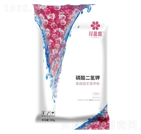 ��ͥ�@ˇ�I�B(y��ng)�ۣ��������⛣�-��ӯͥ-�A���������F