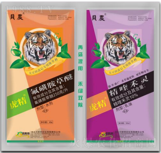 ��୺��`+���ǰ�����-����-ؐ˹���r��