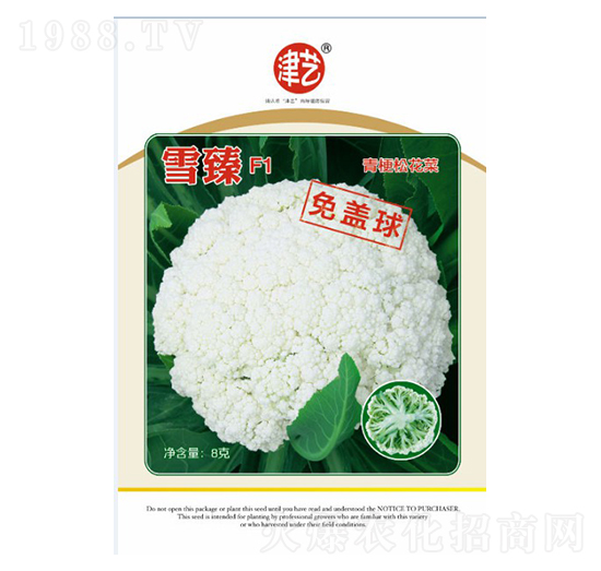 花菜種子-雪臻F1-邯豐農(nóng)業(yè)