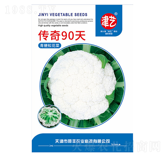 花菜種子-傳奇90天-邯豐農(nóng)業(yè)