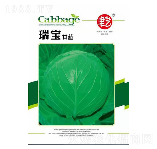 甘藍(lán)種子-瑞寶甘藍(lán)-邯豐農(nóng)業(yè)