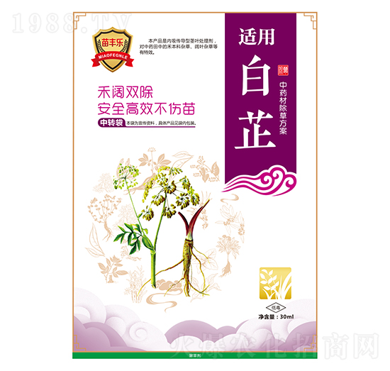 白芷中藥材除草方案-苗豐樂(lè)-苗樂(lè)康農(nóng)業(yè)