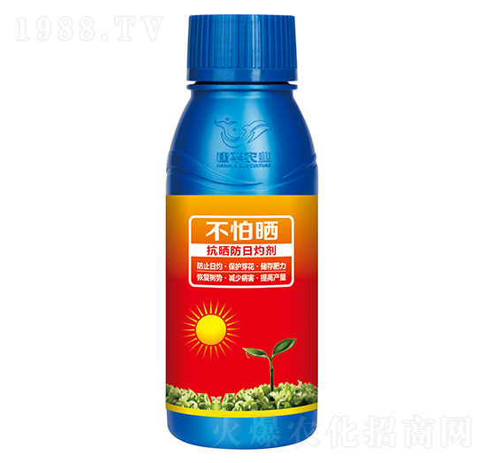 抗曬防日灼劑-不怕曬-建華農(nóng)業(yè)