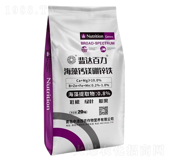 ���_���������}�V���\�F-�а����r