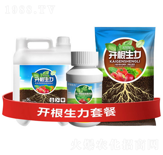 開根生力套餐F-云大科技