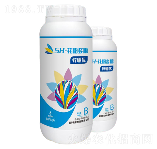 SH-���۶���-�\����(y��u)-���A��