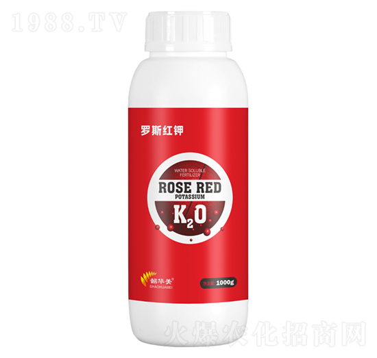 �_˹�t�1000g-���A��