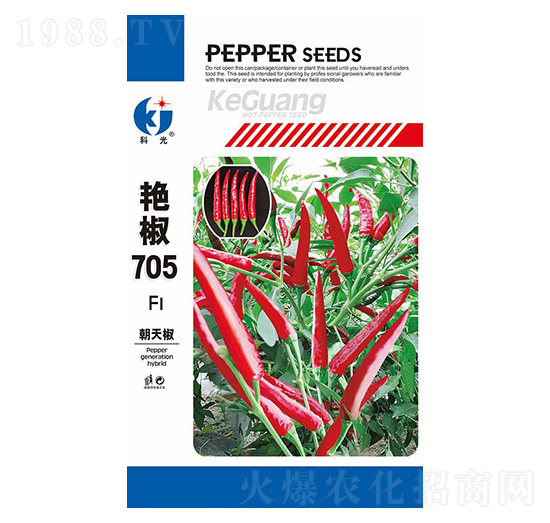 艷椒705辣椒種子-科光種苗