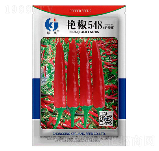 艷椒548辣椒種子-科光種苗