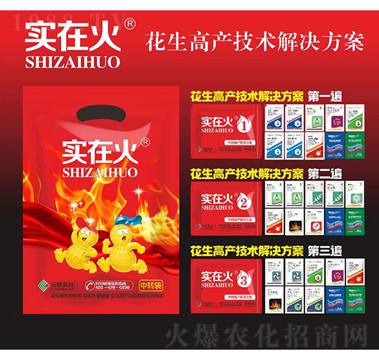 �����߮a���g��Q����-���ڻ�-�t̫�