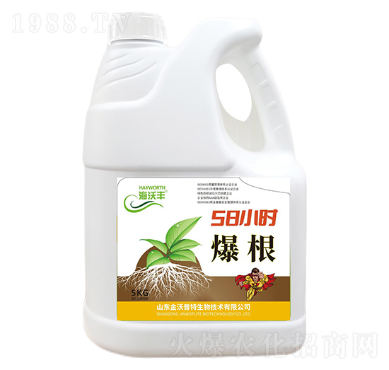 ΢�������-����-�����S-��������