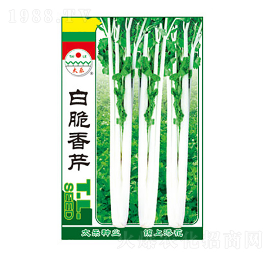 白脆香芹-太樂種業(yè)