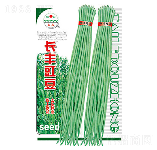 豇豆種子-長豐豇豆-太樂種業(yè)