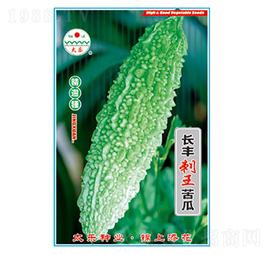 苦瓜種子-長豐刺王苦瓜-太樂種業(yè)