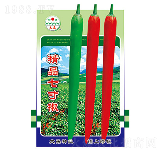 辣椒種子-精品七寸椒-太樂(lè)種業(yè)