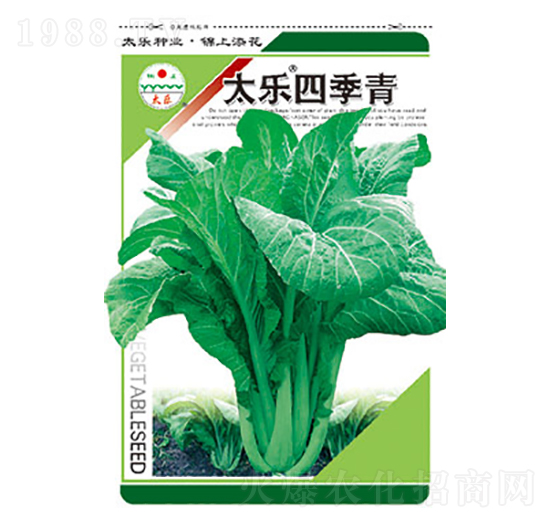 青菜種子-太樂(lè)四季青-太樂(lè)種業(yè)
