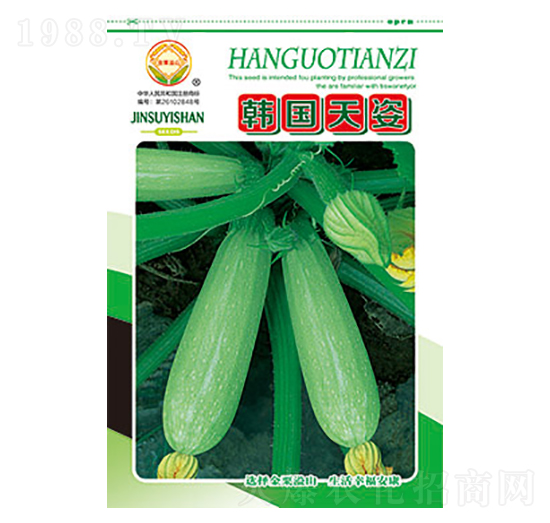 西葫蘆種子-韓國(guó)天資-太樂(lè)種業(yè)