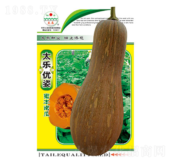 南瓜種子-太樂優(yōu)姿-太樂種業(yè)