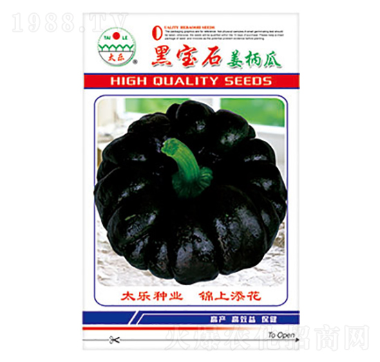 姜柄瓜種子-黑寶石-太樂種業(yè)