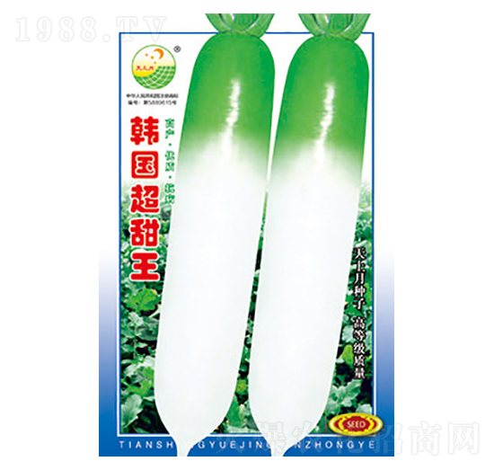蘿卜種子-韓國(guó)超甜王-太樂(lè)種業(yè)