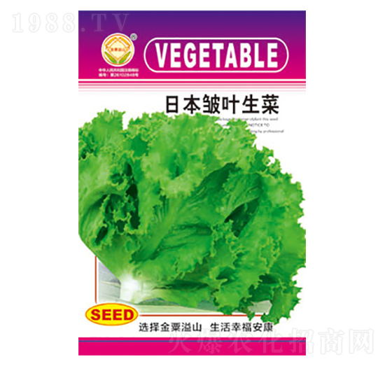 生菜種子-日本皺葉生菜-太樂種業(yè)