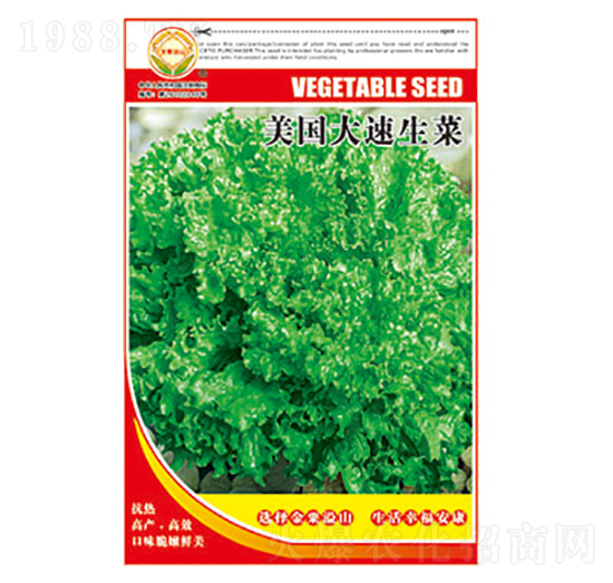生菜種子-美國(guó)大速生菜-太樂(lè)種業(yè)