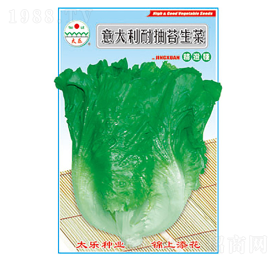 生菜種子-意大利耐抽苔生菜-太樂種業(yè)