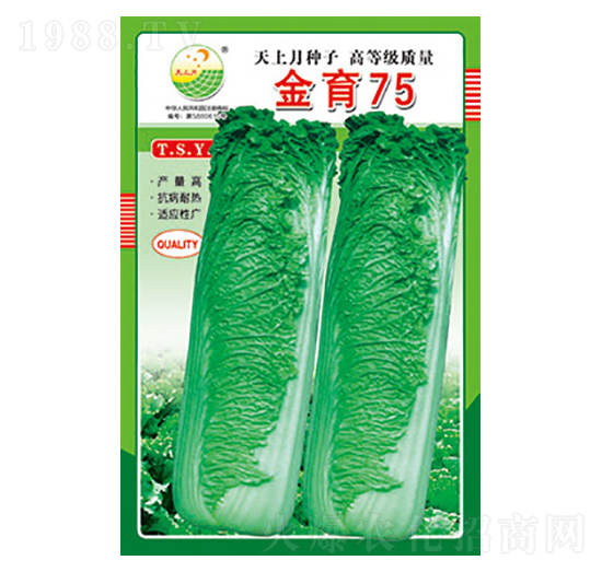 白菜種子-金育75-太樂種業(yè)