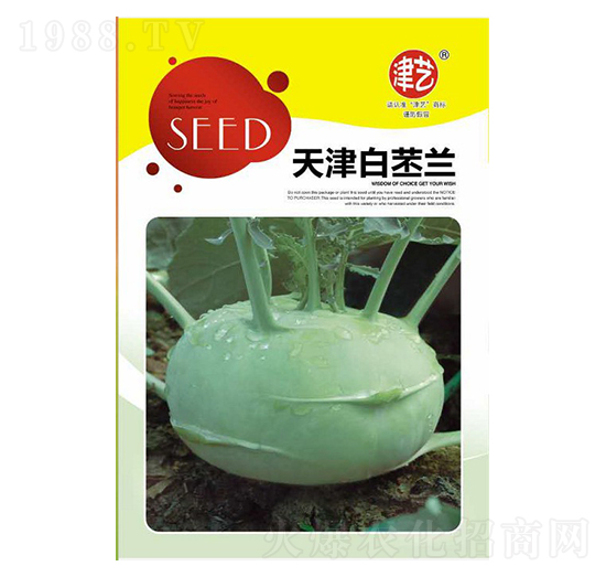 苤藍種子-天津白苤藍-邯豐農(nóng)業(yè)