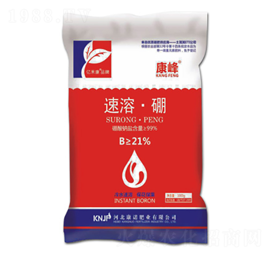 ���ܡ���-����-���Z�ʘI(y��)