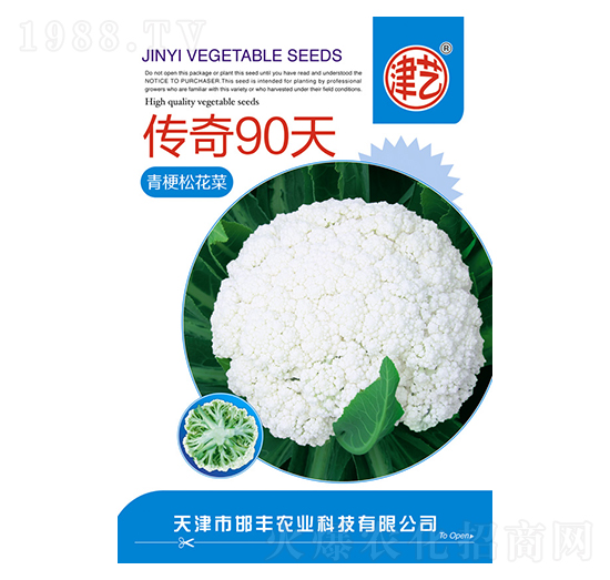 花菜種子-傳奇90天-邯豐農(nóng)業(yè)