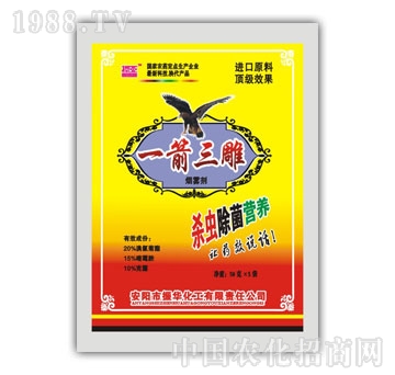 ���A����-һ������