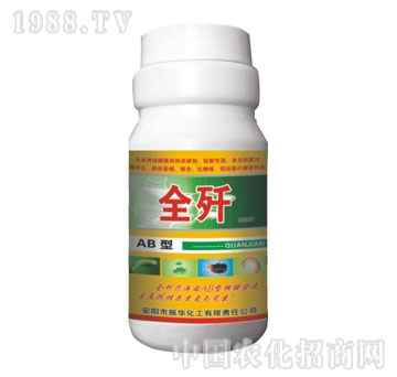 ���A����-ȫ��