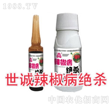 ���\(ch��ng)-�������^��