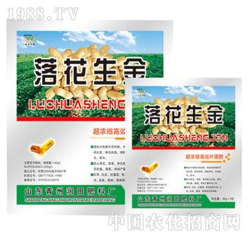 ����-�仨����