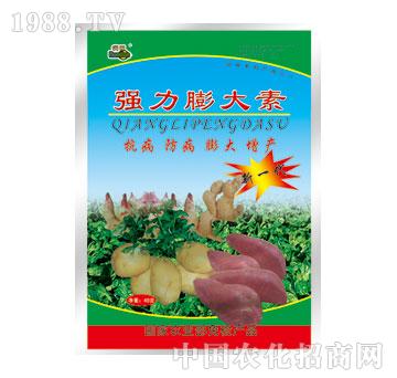 ����-��(qi��ng)�������