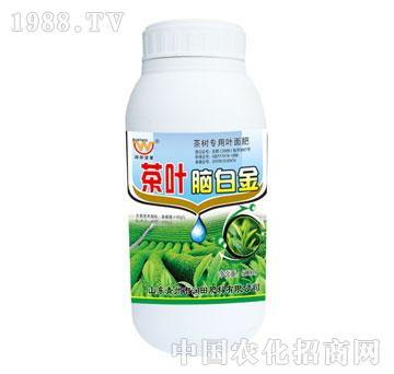 ��(r��n)��-���~�X�׽�