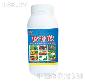 ��(r��n)��-������