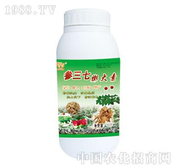 ��(r��n)��-�����������